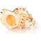 Large Sea Shells for Decorating, Natural Ocean Conch Sea Shell for Home Decor, Wedding Decoration, 7"